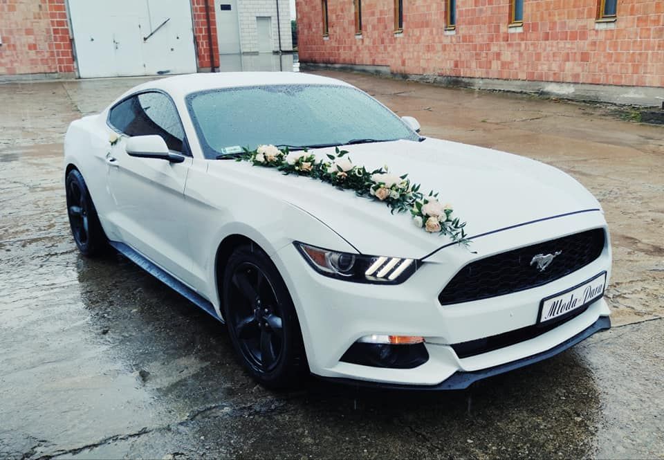 Auto do ślubu samochód do ślubu Ford Mustang / Kia Stinger