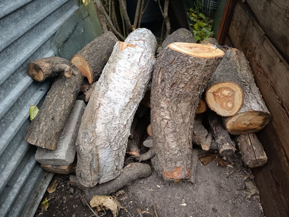 Drewno owocowe do wędzenia