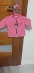 bluza z firmy coccodrillo