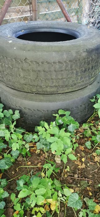 Opony Hankook i Nokian 385 naczepa