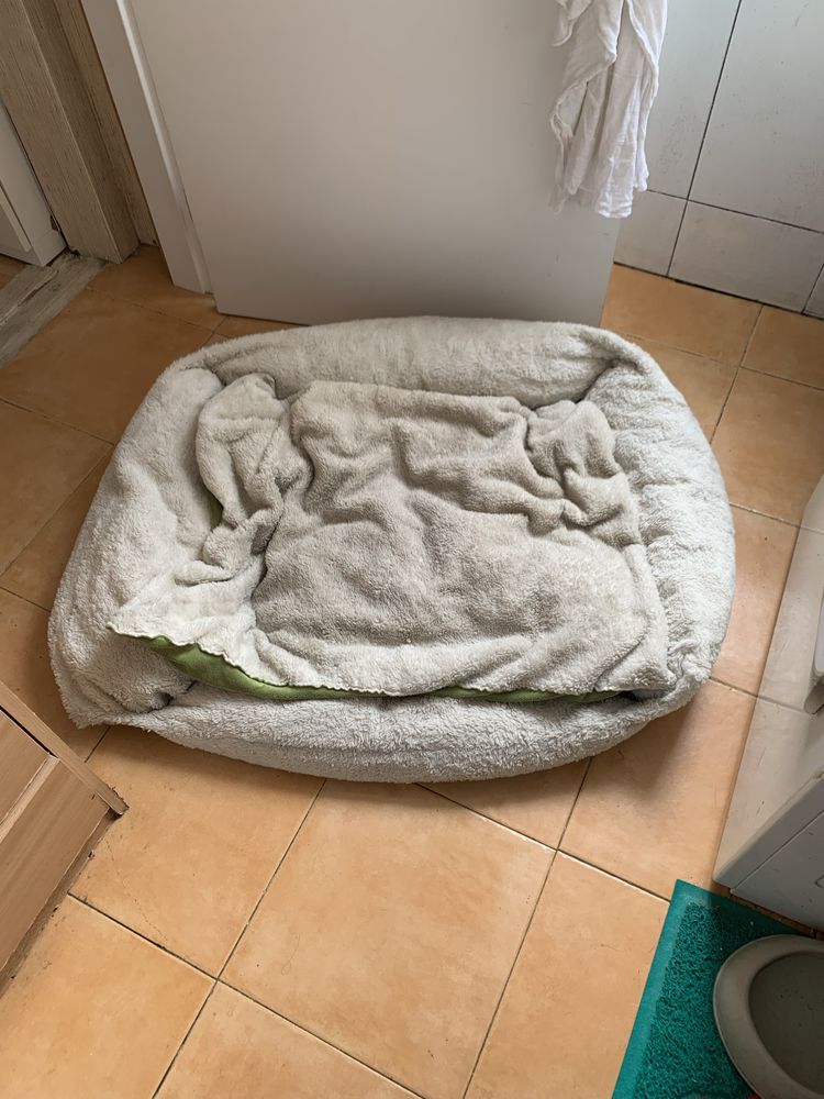 Cama XL para cão