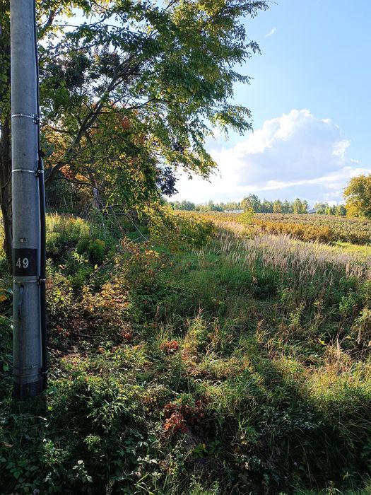 Działka budowlana/rekreacyjna