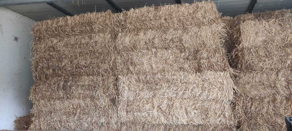 Fardos de feno médios