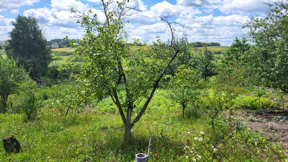 Продаж дачної ділянки