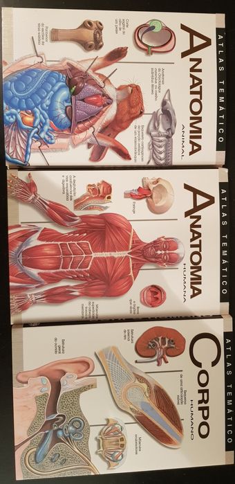Anatomia - 5 tomos novos na caixa original