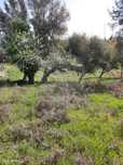 Terreno  para venda