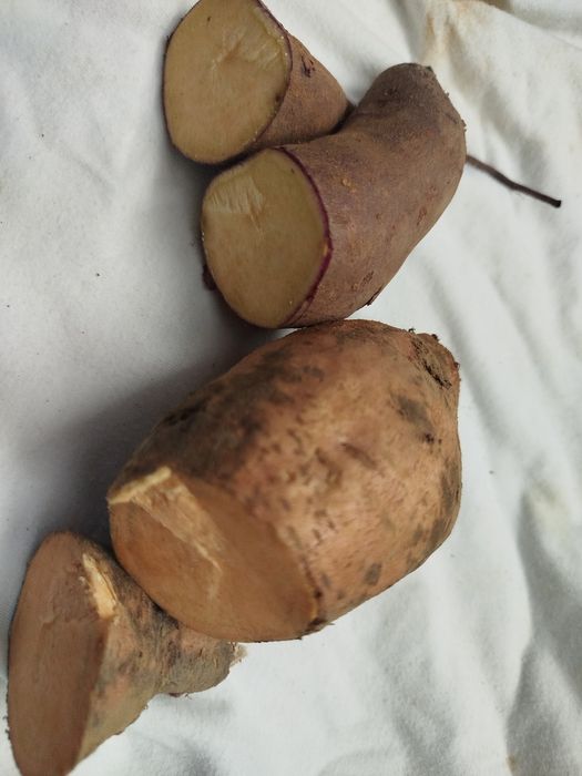 Batata doce 0.70 €  a laranja a 0.80€