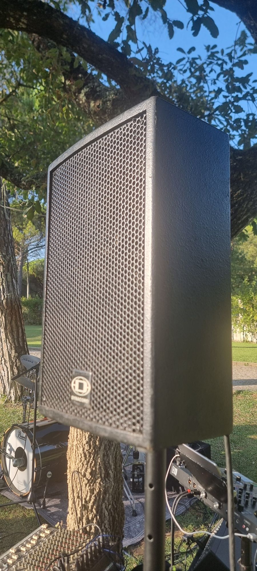 Dynacord little max 2