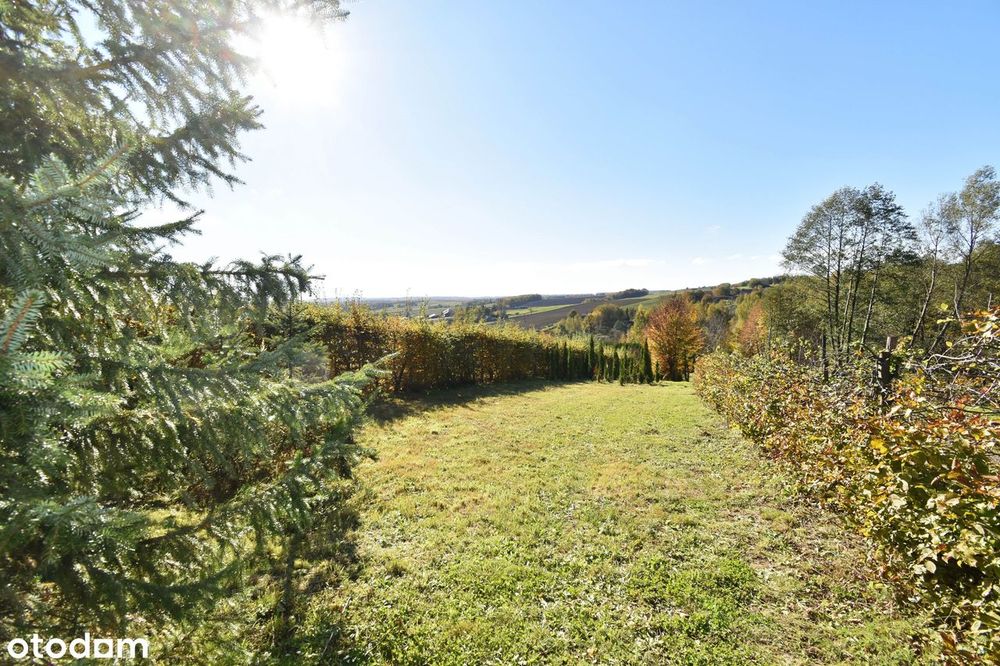 Działka widokowa z WZ dom lub rekreacyjna - 24 km od Rzeszowa - asfalt