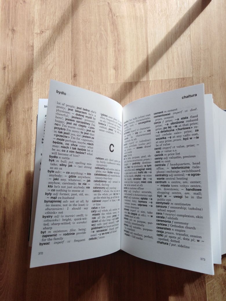 Słownik Polsko Angielski