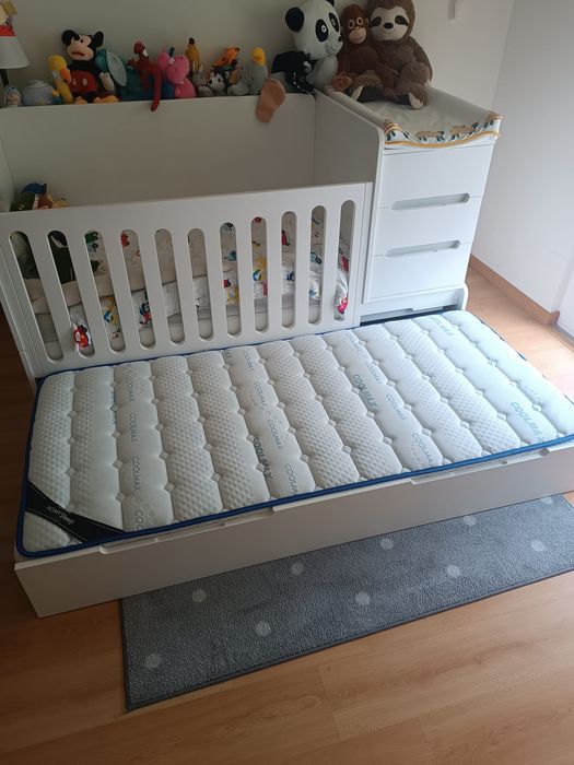 Berço Medular Trama