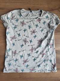 T-shirt w kolibry