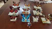 Borboletas em cristal