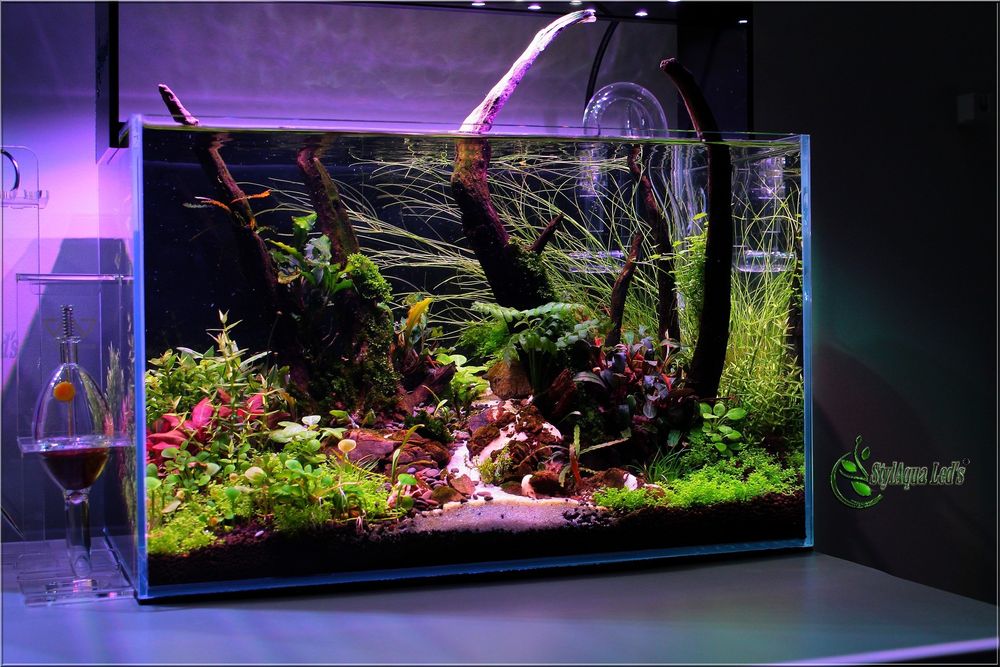 Akwarium-TC420-Sterownik-Świt-Zmierzch-Led