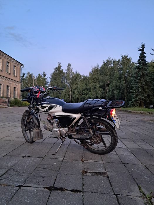 Alpha Forte Rx 125