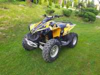 Can am renegade 800