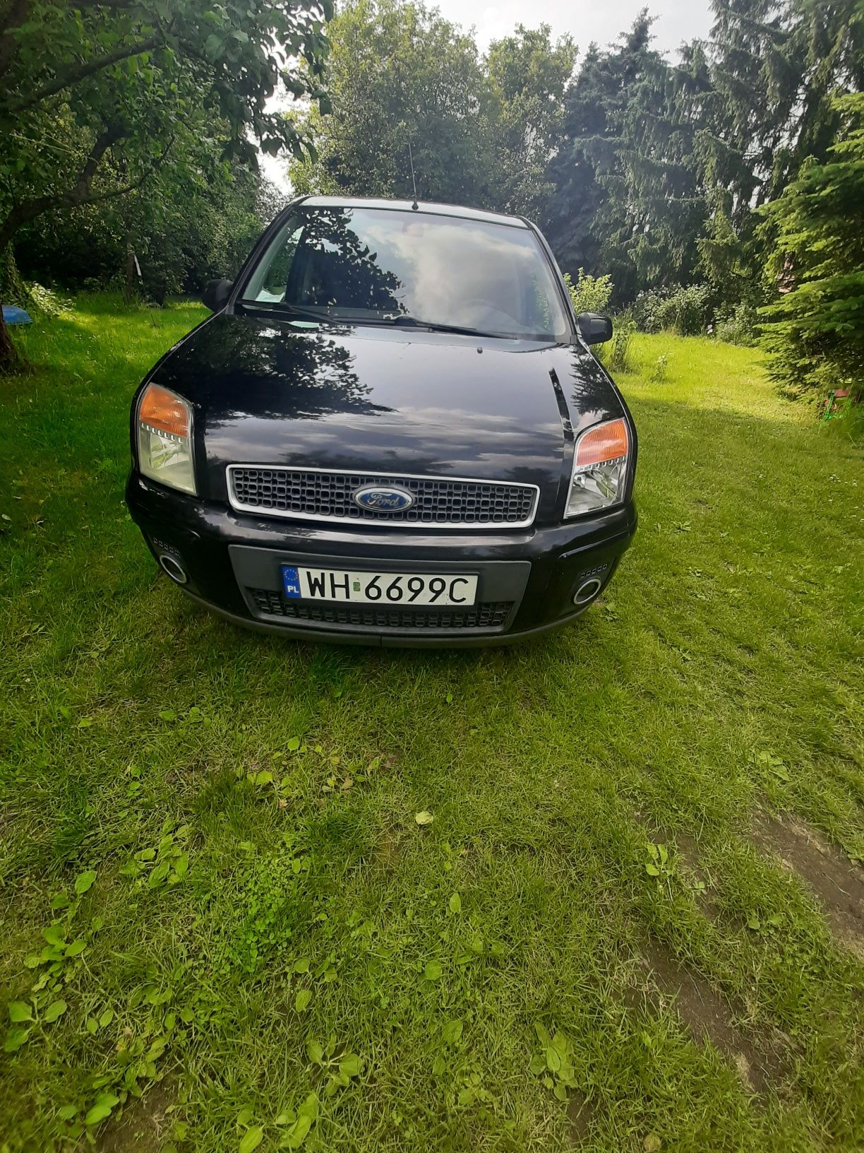 Ładny Ford Fusion 1,6 hdi wersja Plus Wymieniony silnik stan bdb