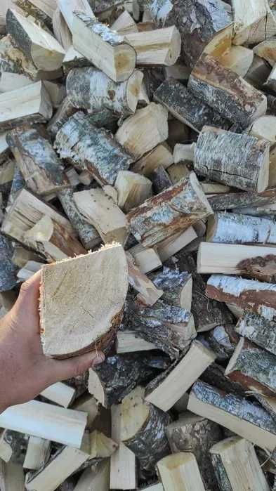Drewno opałowe i kominkowe z darmowym transportem