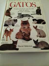 Gatos de David Alderton