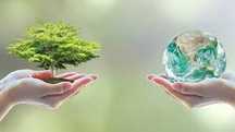Explicações Biologia e Geologia