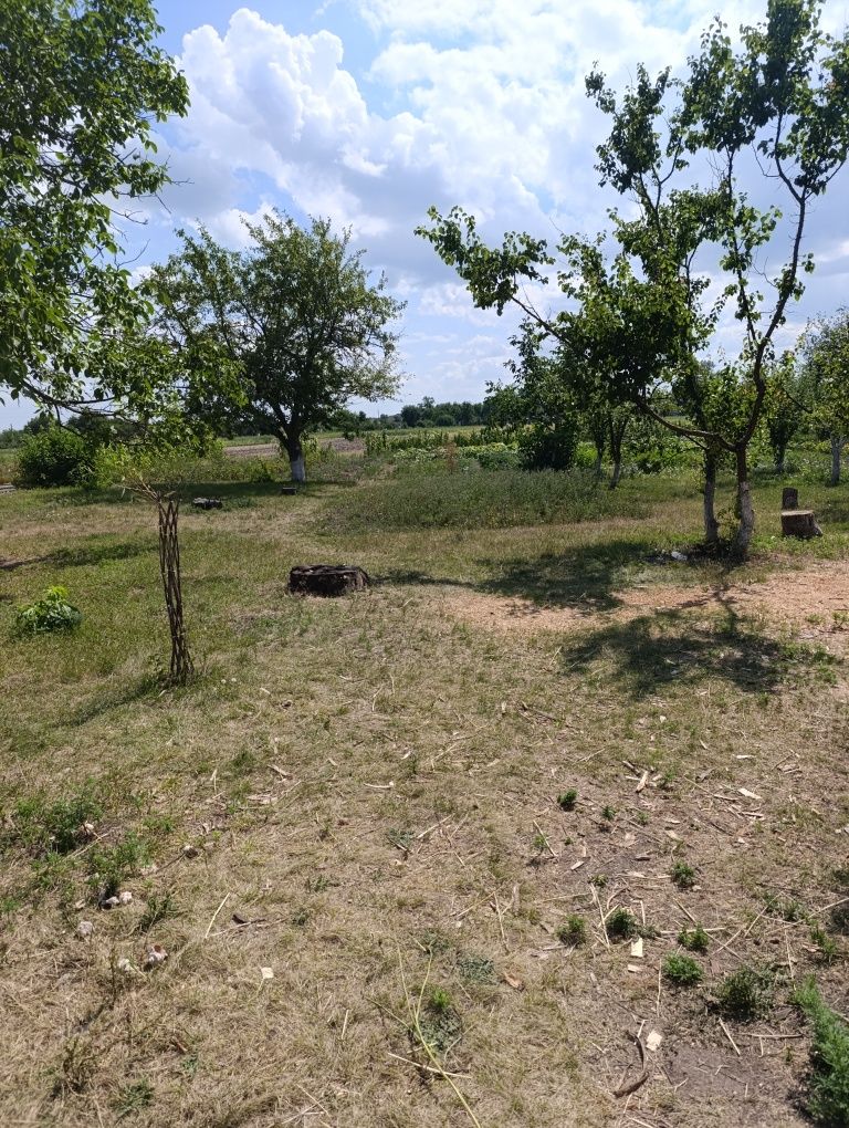 Продається будинок с. Березняки м. Сміла