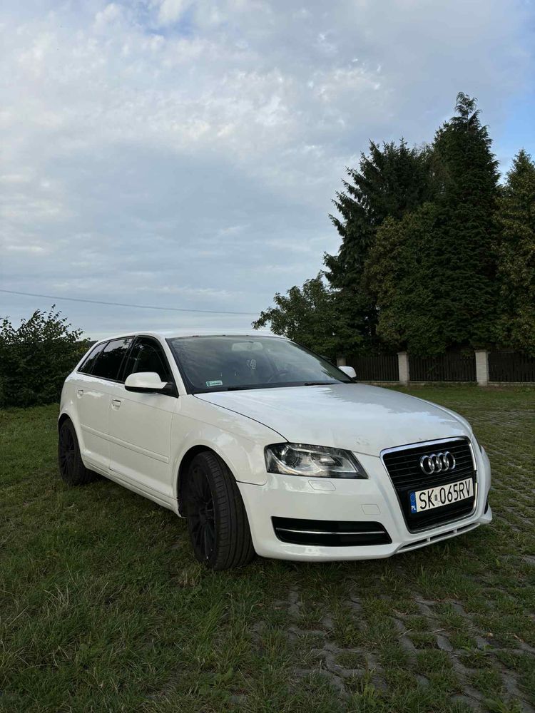 Audi a3 8p 2011r 1.6tdi