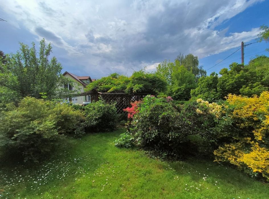 Budynek usługowy z możliwością adaptacji na cele mieszkaniowe