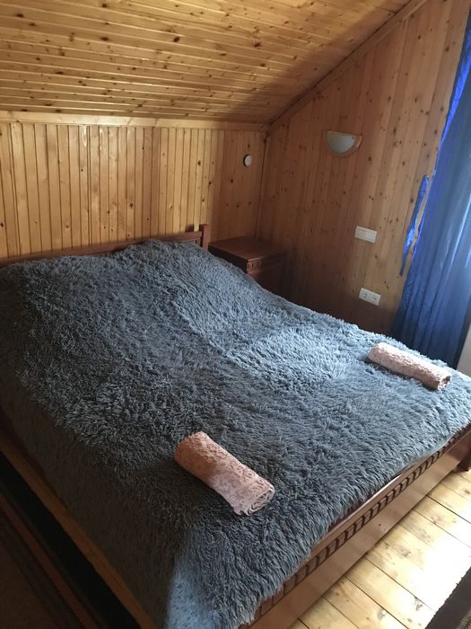 Котедж. Відпочинок а Карпатах.