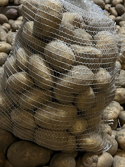 Ziemniaki Arrow 1 zł za kg od rolnika