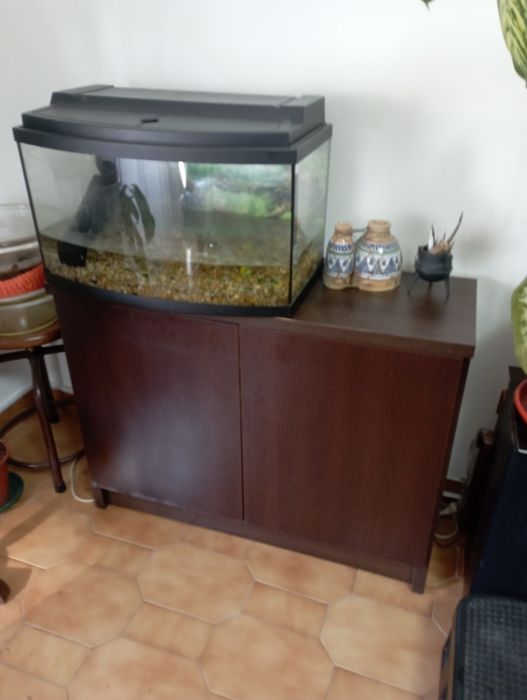 Móvel e aquário de sessenta litros com todos os assessórios