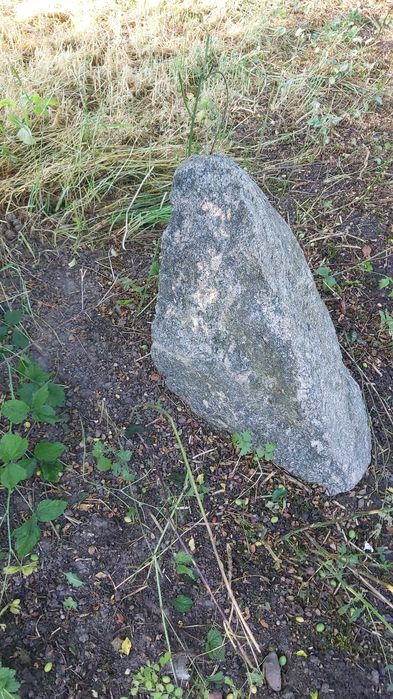 kamień, głaz ozdobny