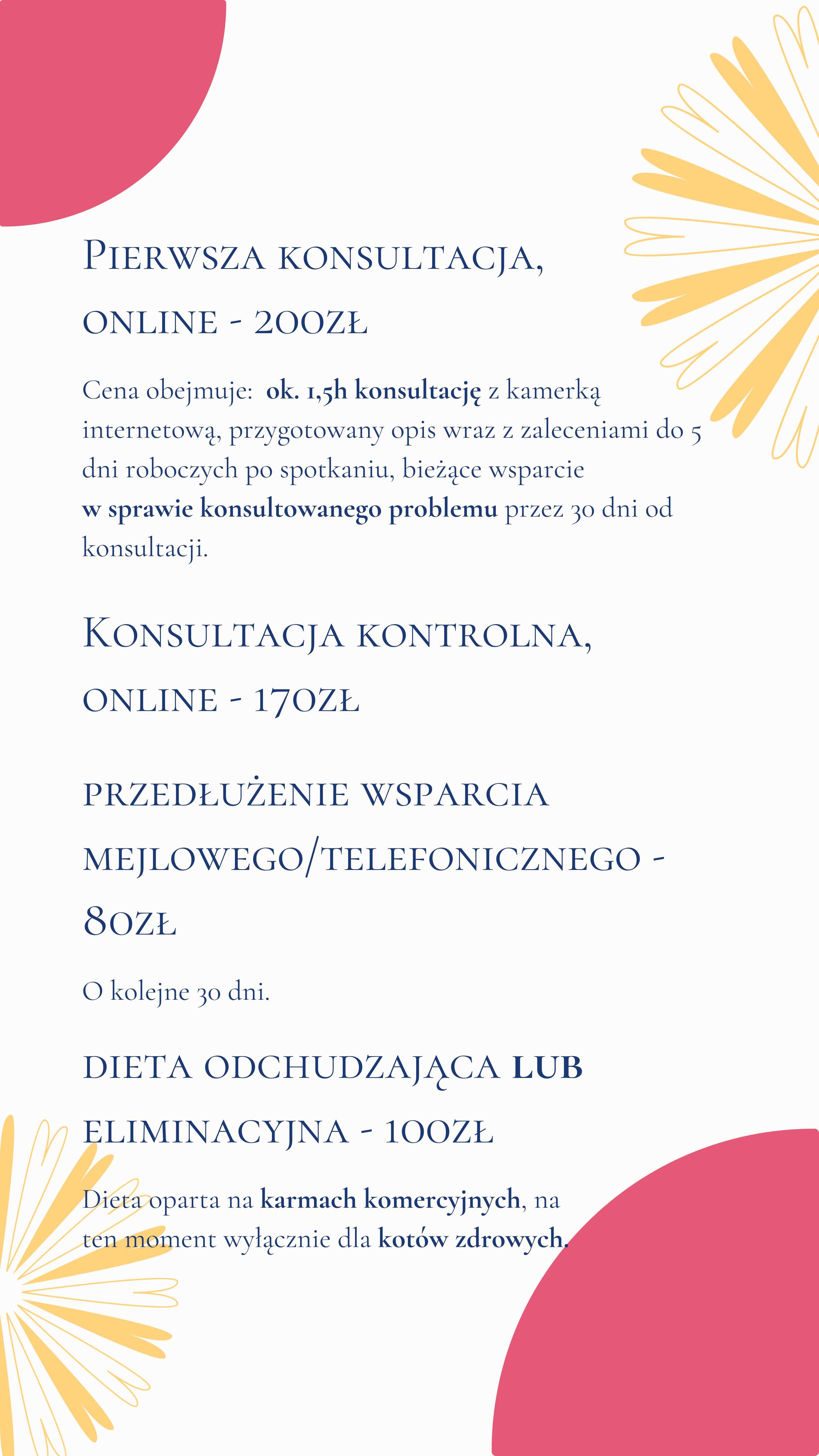 Koci behawiorysta dietetyk behawioryzm kot Gliwice Śląsk Online