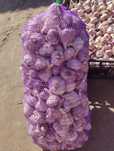 Продам часник. Сорт Любаша. Перша репродукція