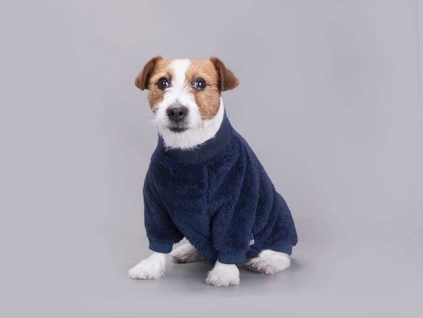 NOVO! Camisola de lã estilo britânico para Cão
