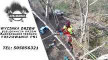Wycinka drzew , frezowanie pni