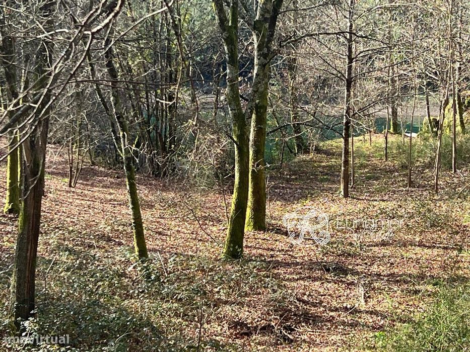 Terreno em Mosteiro, Vieira do Minho