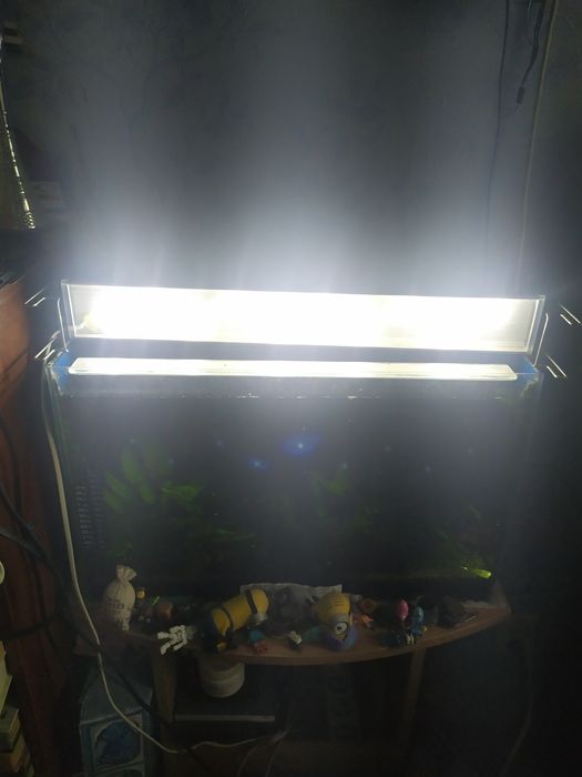 Аквариум со светильником и компрессором