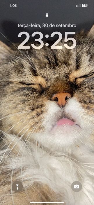 Autocaravana - Fiat Ducato