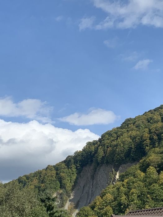 Здається квартира Центр ЯремчЕ житло кімнати номери будинок