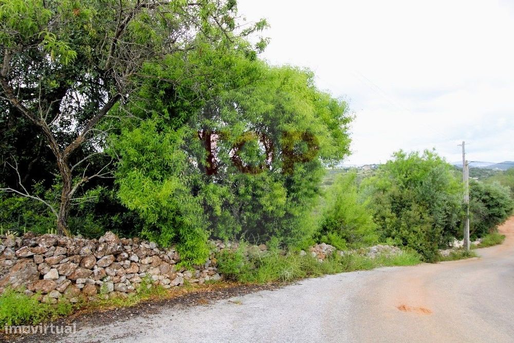 Terreno  localizado na freguesia de  Boliqueime.