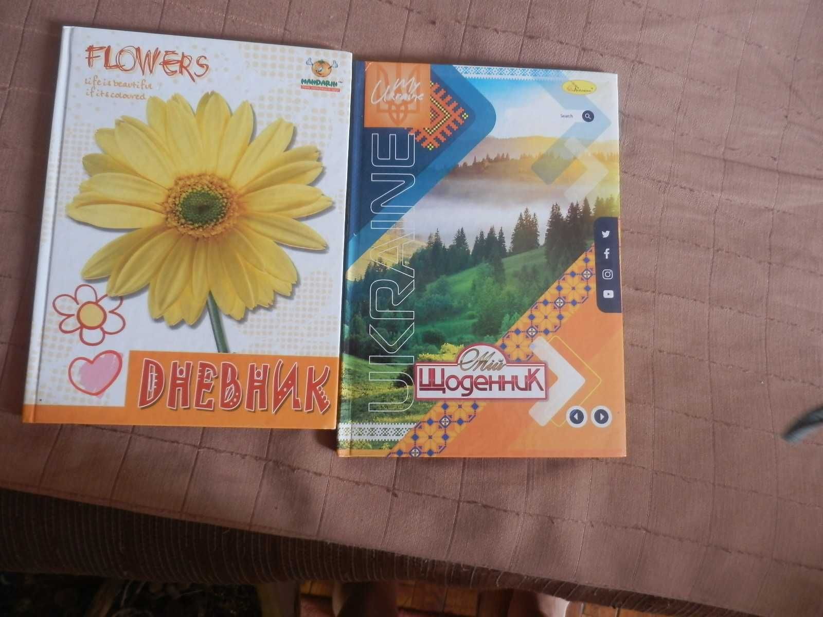 Дневники  школьные новые и тетради и словник для английского языка.