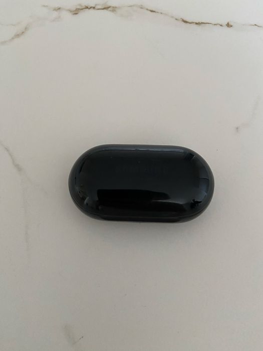 Samsung Earbuds +