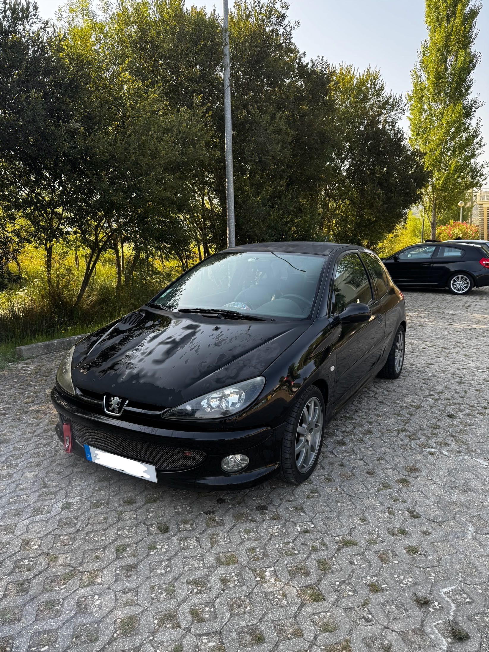 Peugeot 206 GTi 2.0