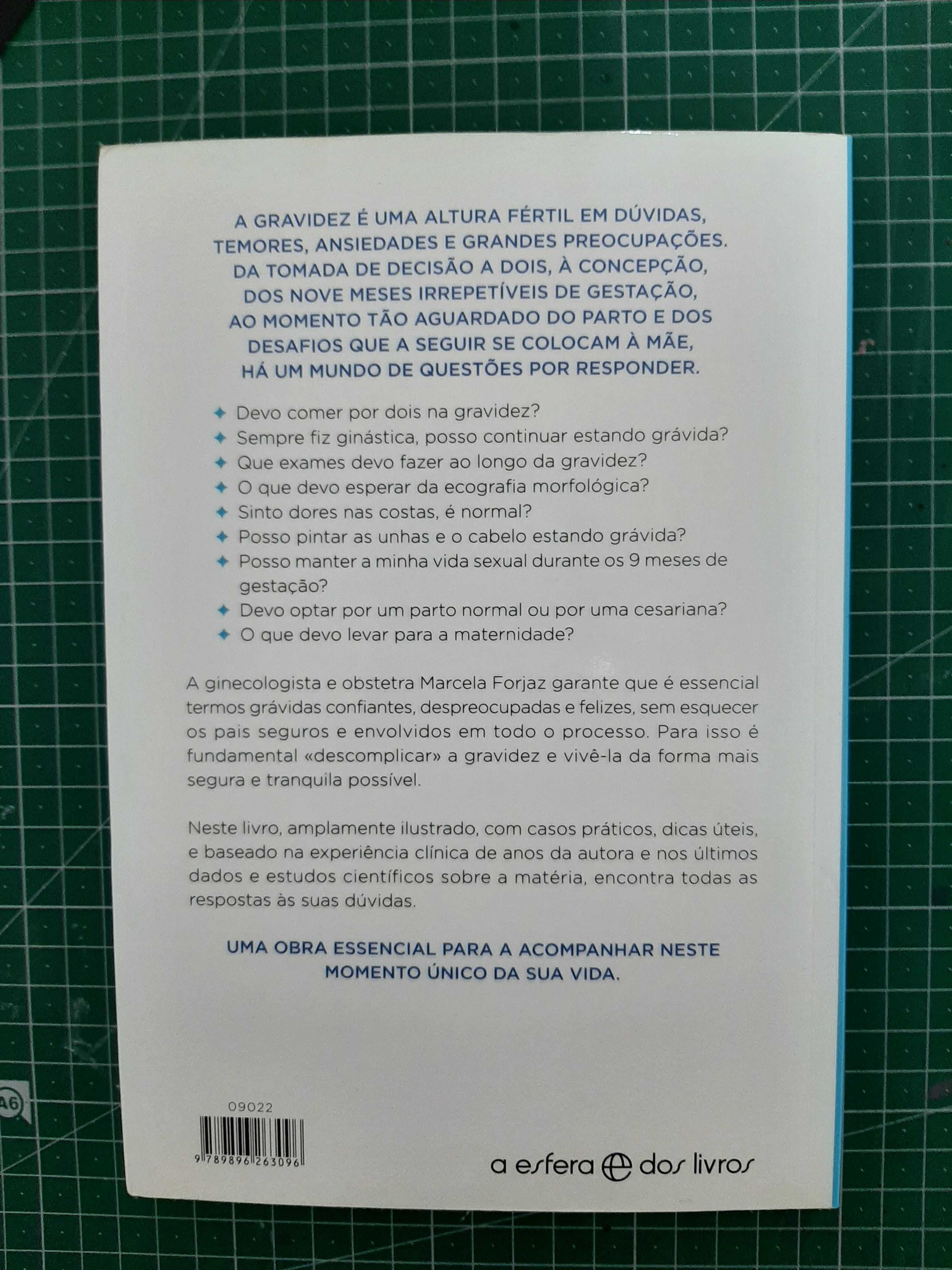 O grande livro da grávida - Perfeito estado