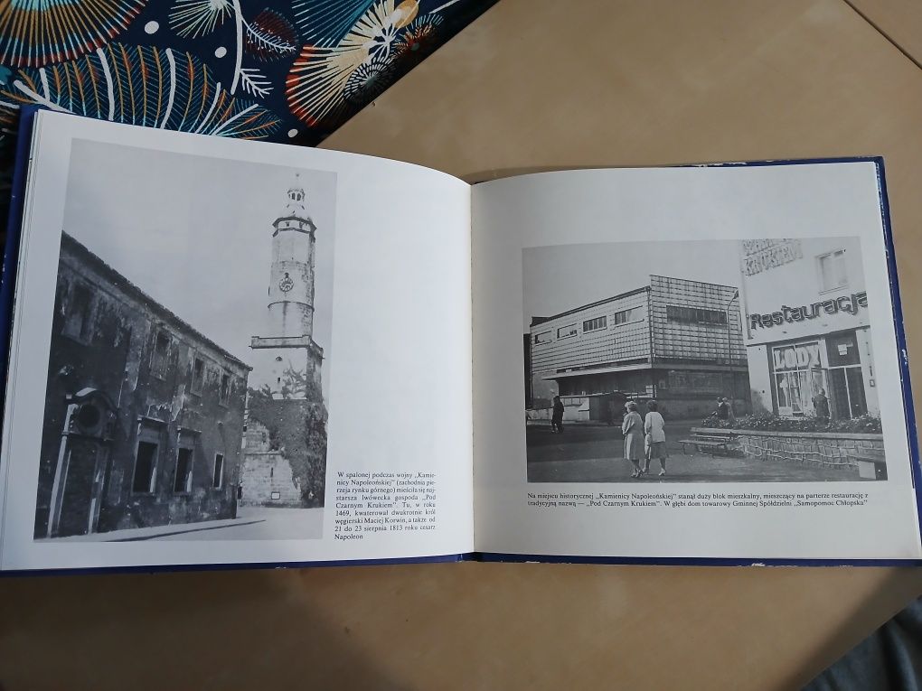 Lwówek Śląski książka Towarzystwo Miłośników Lwówka Śląskiego 1990