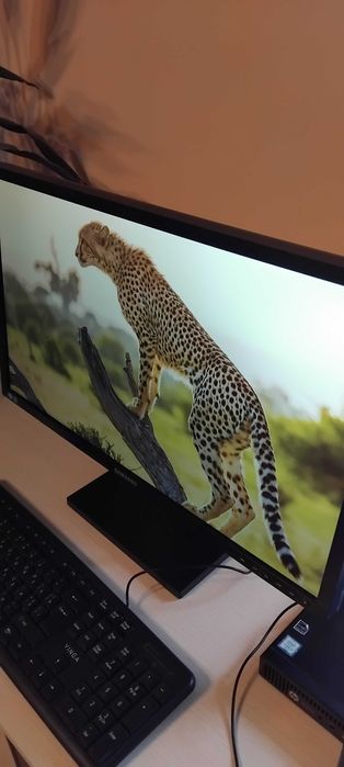 Монитор  Samsung  S24E450