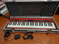 Roland GO:KEYS | Music Creation Keyboard (GO-61K)