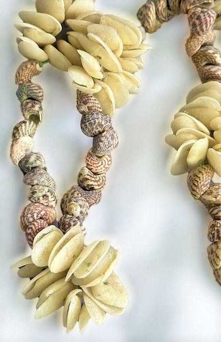 Colar de Mini-Búzios e Mini Conchas Naturais, NOVO/Exclusivo/Único