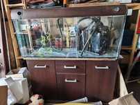 Akwarium terrarium 300 litrów z szafką