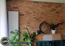 Cegła na ścianę | Płytki z naturalnej cegły rozbiórkowej | Loft